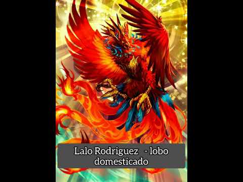 Video Lobo Domesticado  (Audio) de Lalo Rodríguez