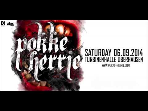 TerrorClown @ Pokke Herrie 2014