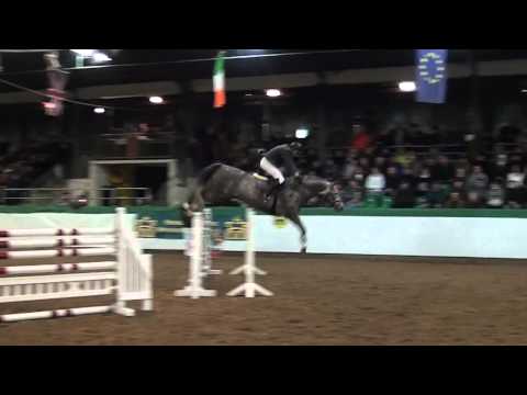 Landgestüt Zweibrücken - Verbandshengstparade 2011