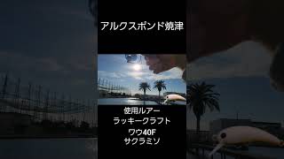 アルクスポンド焼津　釣れてる動画　 #fishing #釣り #shorts #shorts #ニジマス #エリアトラウト #管理釣り場 #アルクスポンド焼津