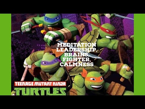 Teenage mutant ninja turtles meditation master splinter, Leonardo, Michael Angelo show how to leader