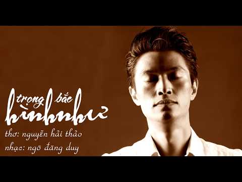 Hình như - Trọng Bắc