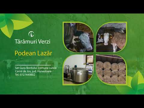 Podean Lazăr Rael Î.I. – Povestea Fermierului din Gura Bordului, Lunca Cernii de Jos