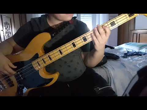 Banarama~Venus Bass Cover