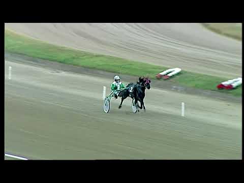 Napoli Trotto 30/05/2021 - prova di qualifica