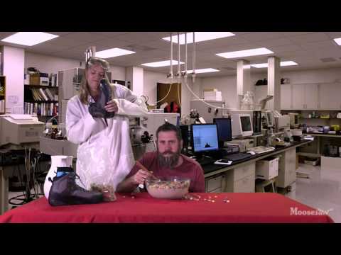 Arc'teryx Bora Mid Hiker Test Lab