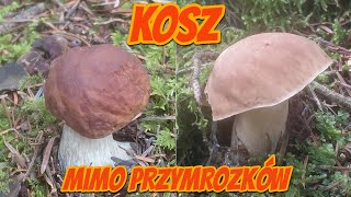 A basket despite the frost