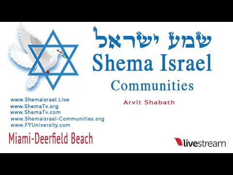 Arvit - Pesag 7mo día 04-11-2023