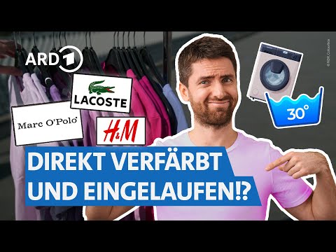 T-Shirts von Zara, H&M, Ralph Lauren, Lacoste & Co.: Ist teuer besser? I NDR Markt