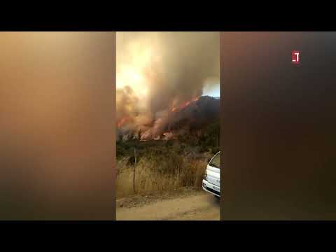 Incendio en Curacaví mantiene una enorme nube de humo en la Región Metropolitana.