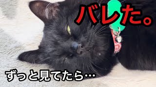 こっそり見てたら…バレた時の表情が可愛すぎる
