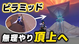 [閒聊] 鮪魚頭自力爬倒金字塔