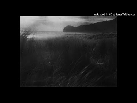 [FREE] DISTORTED TRAP METAL ZERKEY X WARFILL X CHXEU X DXVDXND TYPE BEAT - "MOURN"