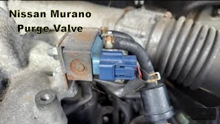 nissan murano Purge valve location