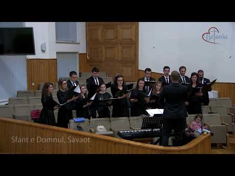 Coram Deo Timisoara - fragmente