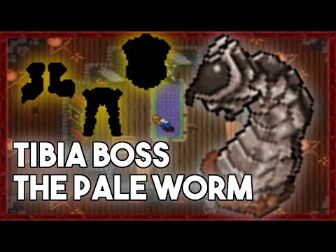 [PL] Tibia Boss | The Pale Worm (Feaster of Souls Quest)