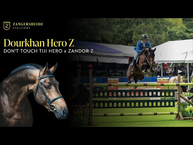 Father of this Embryo is the 9 years old CSI 1.60m Stallion Dourkhan Hero Z with rider Christian Ahlmann