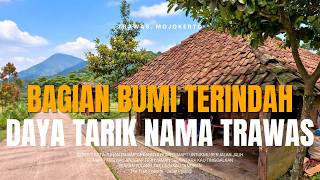 Download lagu Enter the Rustic Market Valley Trawas Mojokerto‼️ mp3 Download lagu Enter the Rustic Market Valley Trawas Mojokerto‼️ mp3