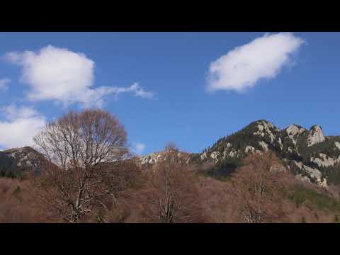 Păduri de stat administrate de Romsilva la Ocolul Silvic Măneciu în județul Prahova