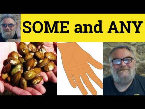 🔵 Difference Between Some and Any - Some vs Any Grammar - Using Some or Any - British Pronunciation