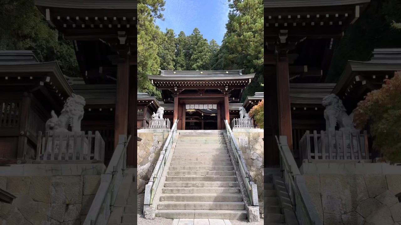 YouTube Short thumbnail