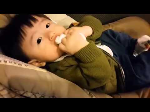 151009 Beagle-stagram (제이제이씨씨) #JJCC Simba With Yoo Chan