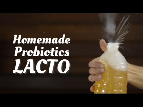 Mask slimming coffee Lapacho at slimming