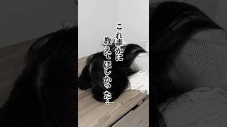 ワーホリ前に知りたかった３つの後悔🥲  #オーストラリア #ワーホリ