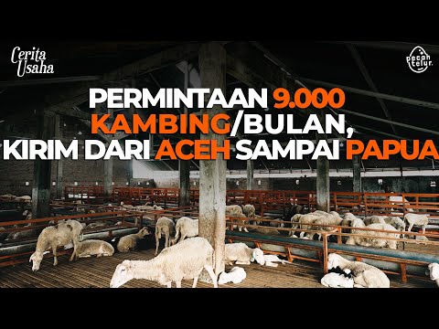 , title : 'Farm Ini Pakai Ilmu Branding, Permintaan Kambing Bisa Milyaran Per Bulan!'