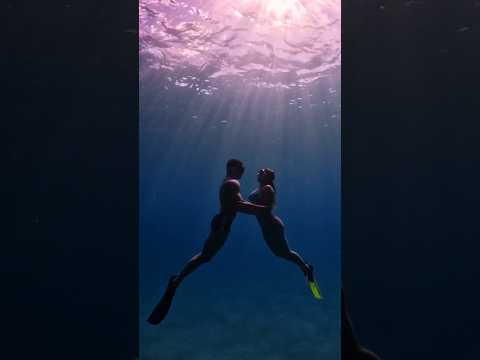 Embaixo d'água é o melhor lugar para estar #underwater #fernandodenoronha