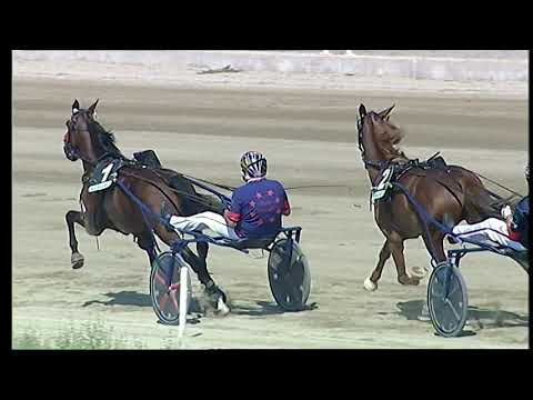 Napoli Trotto 12/09/2021 - 1ª corsa