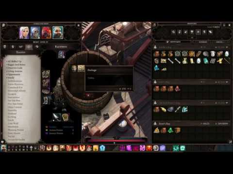 Divinity Original Sin 2 - Fun Telekinesis Barrelmancy Build