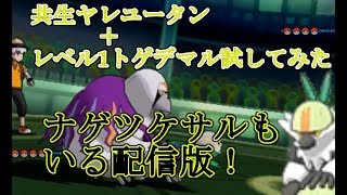 ヤレユータン ポケットモンスター ヨマワル ハピナス イシズマイ ヤレユータン ポケットモンスター ヨマワル ハピナス イシズマイ