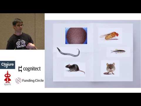 WormBase database migration to Datomic on AWS: A case Study - Adam Wright