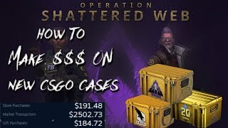 How to Make Money on New CSGO Cases! (Steam Community Market Guide)