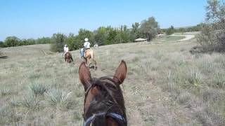 preview picture of video 'Lake Kanopolis Horseback Trail Ride'