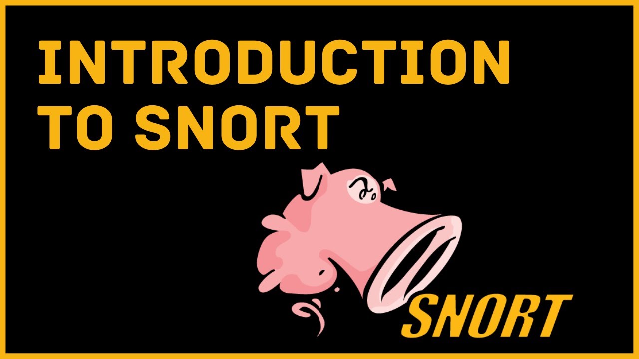 Introduction to Snort: How the Rules Work