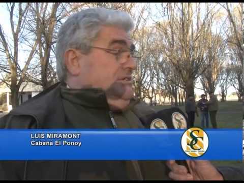 LUIS MIRAMONT - Alzaga Unzué y Cía. S.A. - El Ponoy - San Luis - Ayacucho - 03/09/2013