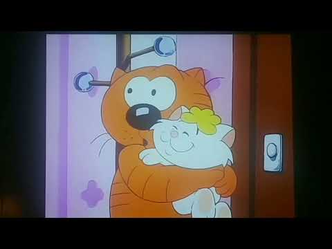 Kitten: I Love you Heathcliff