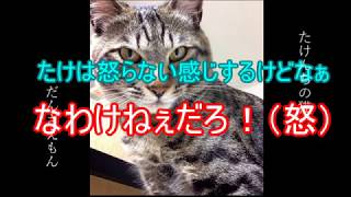 令和記念雑談ラジオ　【笑ってはいけないLINE】