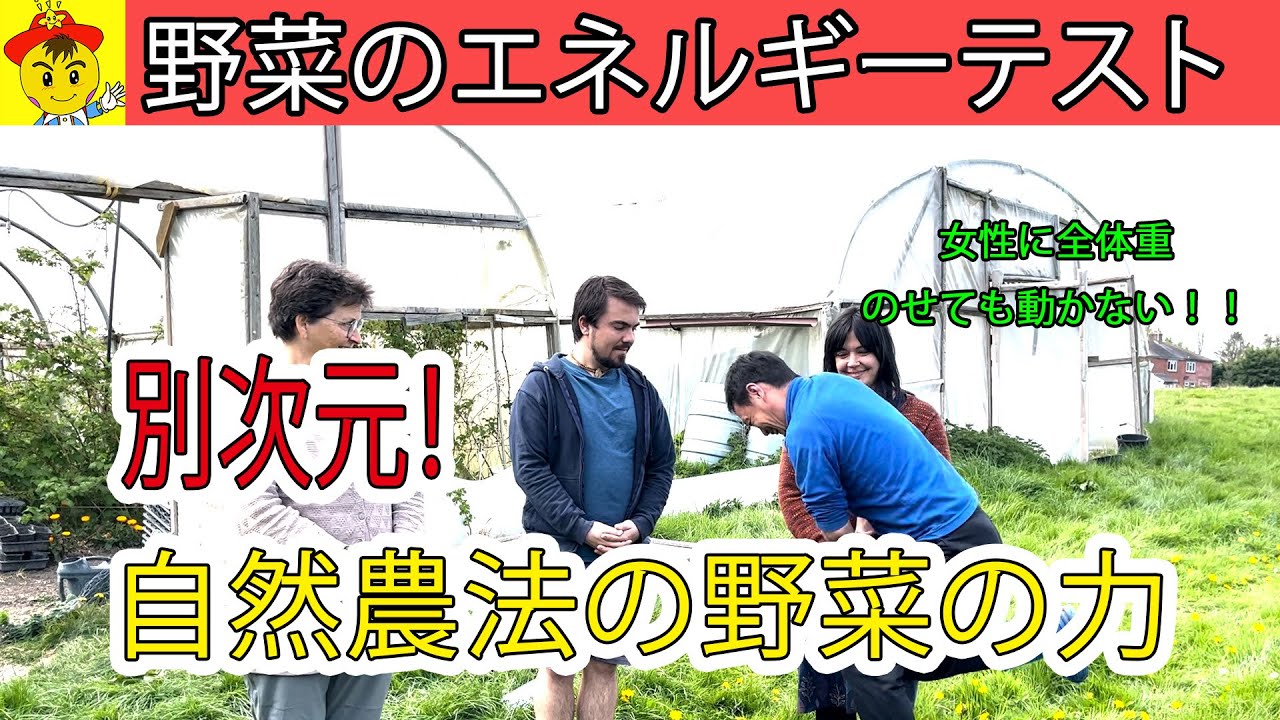 自然農法の野菜を食べ続けると体はどう変わるのか?500人以上が驚いたエナジーテストの結果
