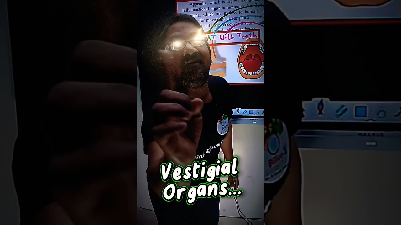 Vestigial Organs in Humans Chapter 1 Heredity and Evolution Class 10th SSC STD 10