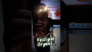 Vestigial Organs in Humans Chapter 1 Heredity and Evolution Class 10th SSC STD 10