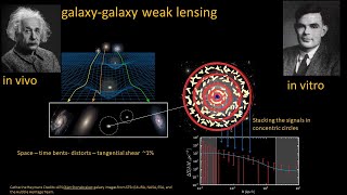 MOND40 Conference, Edwin Valentijn Observational tests constraining modified gravity