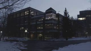 Suicide Nets - nobigdyl (feat. Emily Allman)