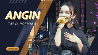 Download lagu ANGIN - TASYA ROSMALA 'NEW PRIMAEGA' || 'CORO PUTIH' DK.KALENPANDAN,JATIMAKMUR-SONGGGOM-BREBES mp3 Download lagu ANGIN - TASYA ROSMALA 'NEW PRIMAEGA' || 'CORO PUTIH' DK.KALENPANDAN,JATIMAKMUR-SONGGGOM-BREBES mp3