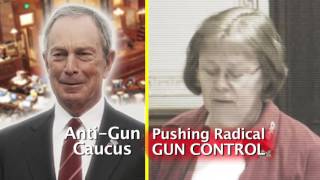 Tell Senator Mary Jo Wilhelm to Apologize for Attacking Your Gun Rights!