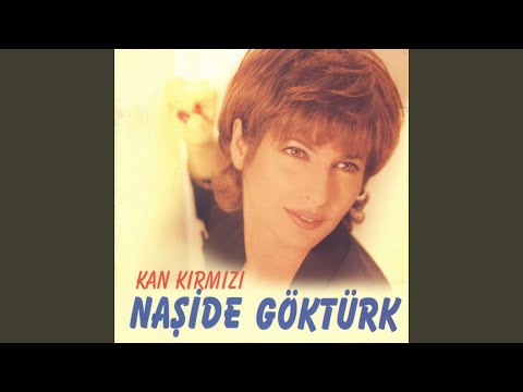 Hani Benim Gençliğim