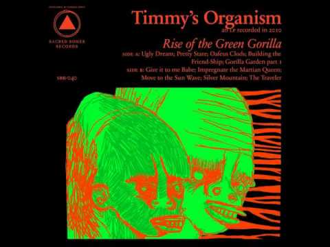 Timmy's Organism - The Traveler