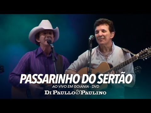 Passarinho Do Sertão - Di Paullo e Paulino